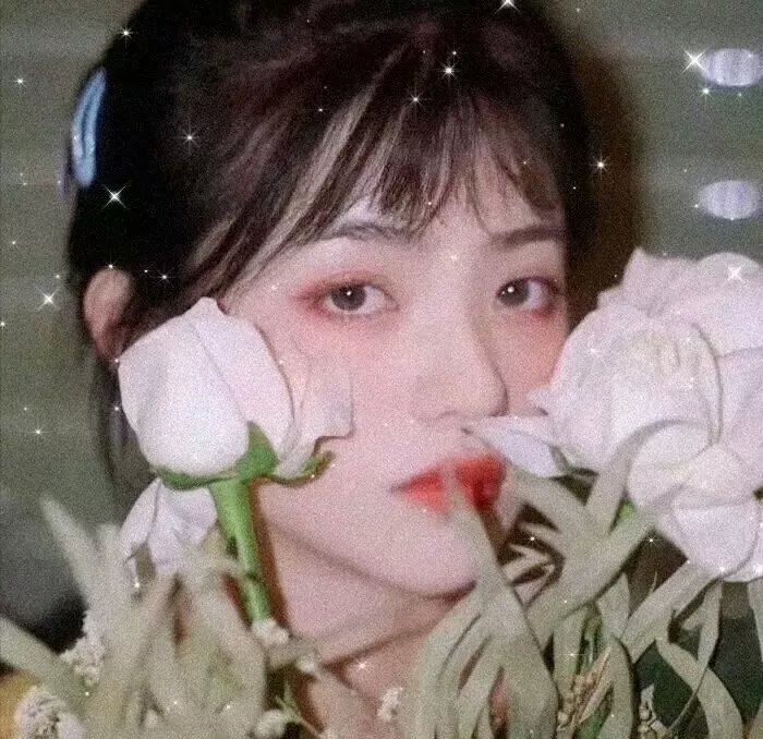 十三个原因第一季